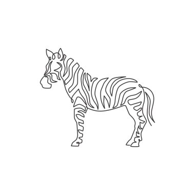Ulusal Park Hayvanat Bahçesi safari logosu kimliği için tek bir zebra çizimi. Afrika 'dan gelen tipik çocuk maskotu çizgili at konsepti. Aralıksız çizgi çizimi vektör tasarımı illüstrasyonu