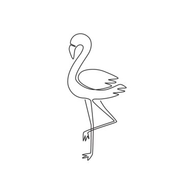 Hayvanat bahçesi için kesintisiz bir güzellik flamingosu çizimi. Kuş koruma parkı için flamingo maskotu konsepti. Modern tek çizgi vektör tasarım grafik çizimi
