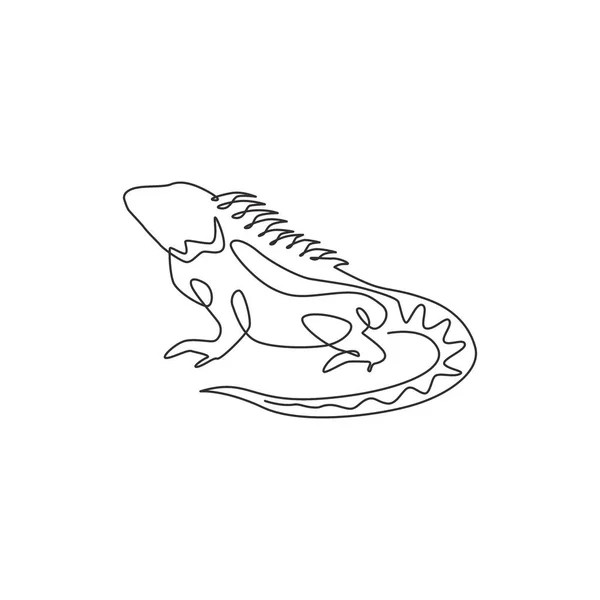 Desenho Linha Contínua Bela Iguana Para Identidade Logotipo Empresa Conceito — Vetor de Stock