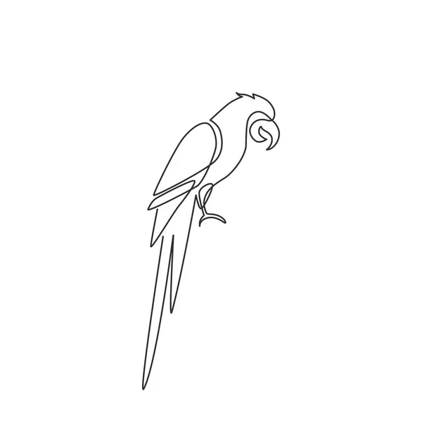 Dessin Unique Ligne Continue Mignon Oiseau Perroquet Adorable Avec Longue — Image vectorielle