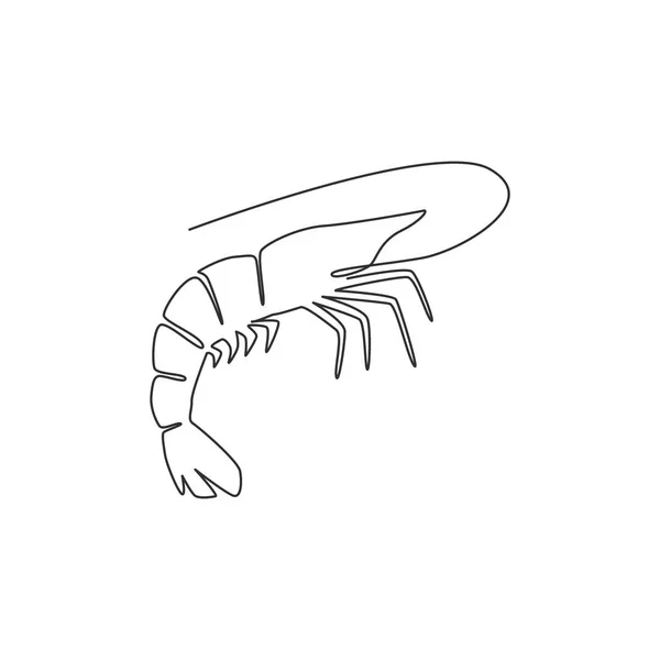 大虾单行连续画线 以实现海产品标识的健康标识 对虾吉祥物概念的农耕图标 单行绘图设计矢量图形说明 — 图库矢量图片