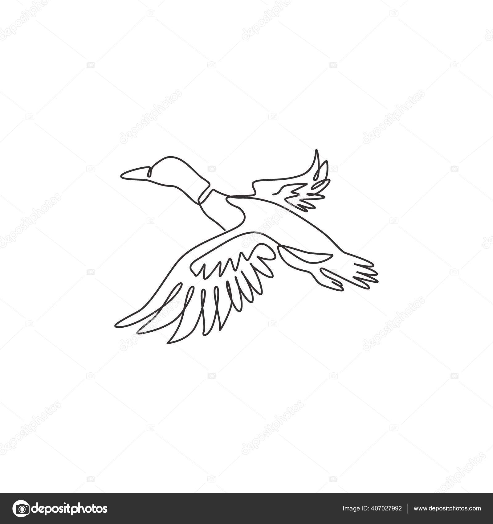 Featured image of post Duck Line Drawing Download a free preview or high quality adobe illustrator ai eps