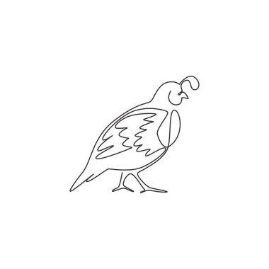 Logo kimliği için komik vadi bıldırcın çizimi. Ulusal koruma parkı ikonu için Kaliforniya bıldırcın kuşu maskotu konsepti. Modern sürekli çizgi çizimi tasarım vektörü illüstrasyonu
