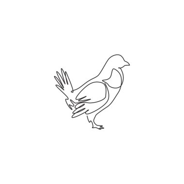 One continuous line drawing of funny grouse bird for organisation logo identity. Driven grouse shooting mascot concept for game bird icon. Modern single line draw design graphic vector illustration clipart