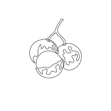 Tek bir çizim ve meyve bahçesi logosu kimliği için sağlıklı organik longan kesimi. Meyve bahçesi ikonu için taze meyve konsepti. Modern sürekli çizgi çizimi tasarım vektörü grafik çizimi