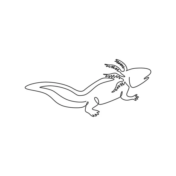 Een Enkele Lijn Tekening Van Schattige Axolotl Voor Bedrijfslogo Identiteit — Stockvector