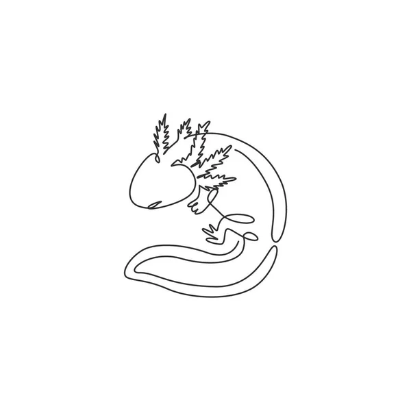 Desenho Linha Contínua Axolotl Bonito Para Identidade Logotipo Empresa Conceito — Vetor de Stock