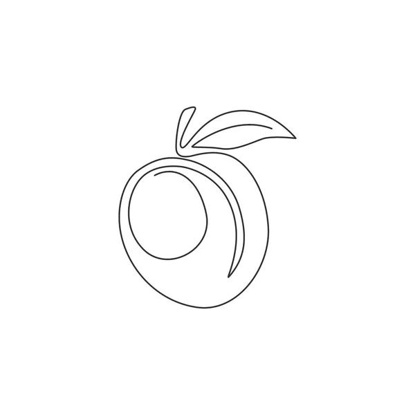 Однорядковий Малюнок Цілого Здорового Органічного Абрикоса Фірмового Логотипу Саду Свіжий — стоковий вектор