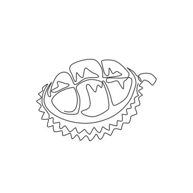 Meyve bahçesi logosu kimliği için tek sıra halinde kesilmiş organik durian. Meyve bahçesi ikonu için taze dikenli meyve konsepti. Modern bir çizgi çizimi tasarım vektörü grafik çizimi