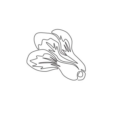 Çiftlik logosu kimliği için tek bir sağlıklı organik yeşil bok choy çizimi. Sebze ikonu için taze Çin Paksoi konsepti. Modern bir çizgi çizimi tasarım vektörü grafik çizimi