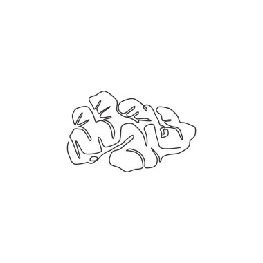 Çiftlik logosu kimliği için sağlıklı organik zencefil çizen tek bir çizgi. Taze çiçek açan bitki rhizome konsepti bitkisel uzun ömürlü simgesi. Modern sürekli çizgi çizimi tasarım grafik vektör çizimi