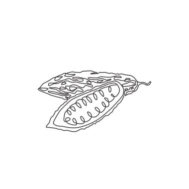 Bir bütün halinde tek bir çizgi çizimi ve bahçe logosu kimliği için sağlıklı organik acı kabak. Vejetaryen ikonu için taze Endonezya pare konsepti. Modern bir çizgi çizimi tasarım vektörü çizimi