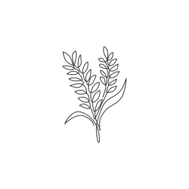 Çiftlik logosu kimliği için sağlıklı organik buğday tanelerinin kesintisiz çizimi. Kahvaltı mısır gevreği ikonu için taze yiyecek konsepti. Modern tek çizgi tasarım grafik vektör çizimi