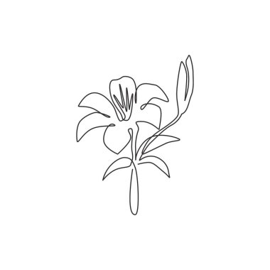 Ev dekorasyonu posteri için tek bir çizim taze liyum. Düğün davetiyesi için basılabilir dekoratif gerçek zambak çiçeği. Modern sürekli çizgi çizimi tasarım vektörü illüstrasyonu
