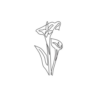 Ev dekorasyonu için zantedeschia çizen aralıksız bir çizgi. Düğün davetiyesi için basılabilir dekoratif zambak çiçeği. Modern tek çizgi çizimi tasarım vektör çizimi