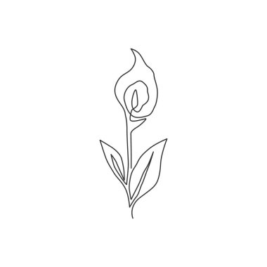 Bahçe logosu için zantedeschia çiçeği çizen tek sıra. Ev dekorasyonu için basılabilir dekoratif arum zambak çiçeği. Moda sürekli çizgi çizimi tasarım vektörü grafik illüstrasyonu
