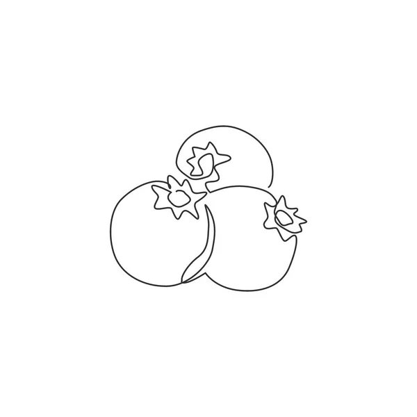 Единая Сплошная Сплошная Сплошная Сплошная Органическая Черника Идентификации Логотипа Сада — стоковый вектор
