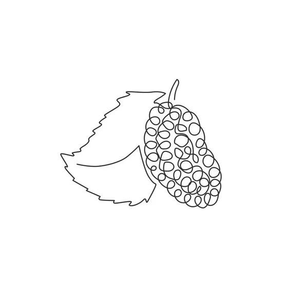 Enda Linje Ritning Hela Friska Ekologiska För Fruktträdgård Mullbär Logotyp — Stock vektor