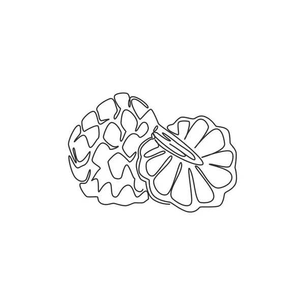 Один Сплошной Рисунок Сплошной Нарезанный Наполовину Здоровый Органический Фруктовый Сахар — стоковый вектор
