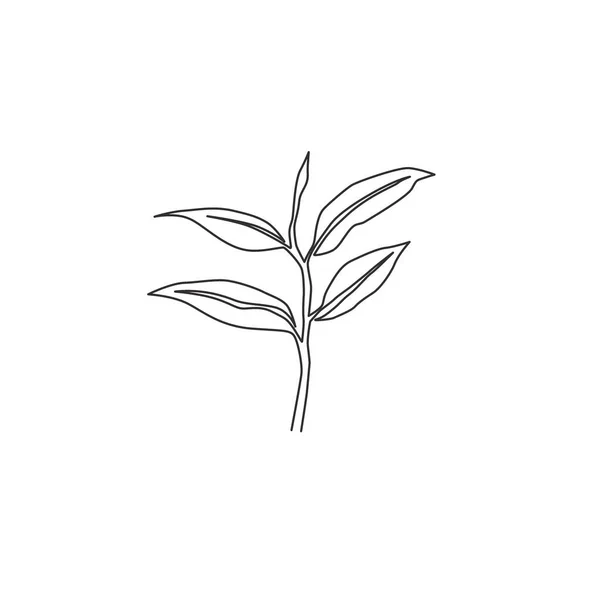Çiftlik Logosu Kimliği Için Sağlıklı Organik Çay Yaprakları Çizen Tek — Stok Vektör