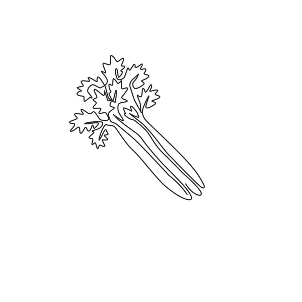 One Continuous Line Drawing Bunch Healthy Organic Green Celery Farm — стоковый вектор