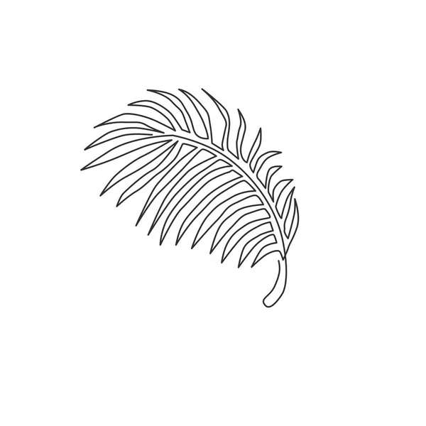 Μία Γραμμή Σχεδίου Τροπικού Φυτού Από Φύλλα Καρύδας Εκτυπώσιμη Αφίσα — Διανυσματικό Αρχείο