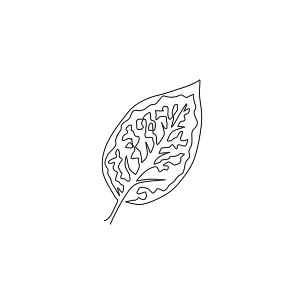 Une Ligne Continue Dessin Mignon Feuille Tropicale Aglaonema Plante Concept — Image vectorielle