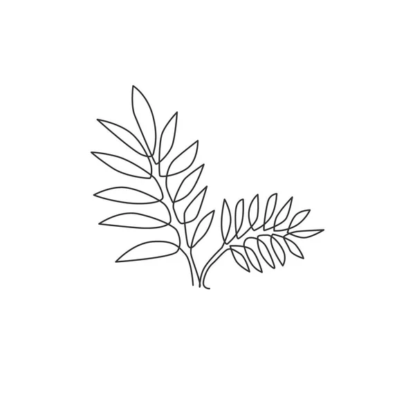 Einzelne Durchgehende Linienzeichnung Von Tropischen Blättern Printable Poster Dekorative Zimmerpflanze — Stockvektor