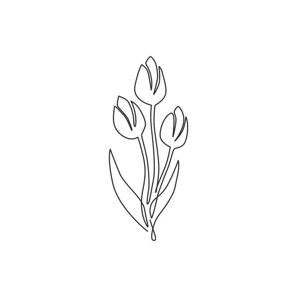 单行线条画 美丽清新的郁金香 为园林标识身份 荷兰族装饰花卉的概念为时尚纺织品 现代单行绘图设计矢量插图 — 图库矢量图片