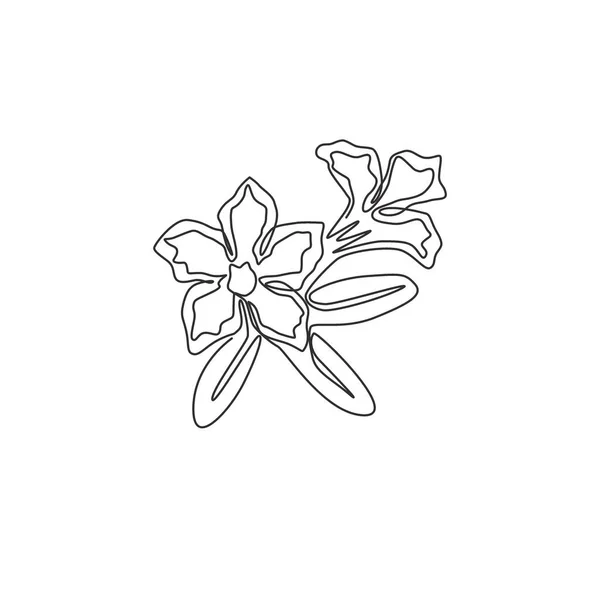 Ένα Συνεχές Σχέδιο Φρέσκο Αδήνιο Ομορφιάς Για Λογότυπο Του Κήπου — Διανυσματικό Αρχείο