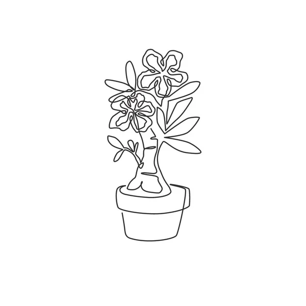 Dessin Unique Beauté Fraîche Pot Adénium Pour Logo Jardin Imprimable — Image vectorielle