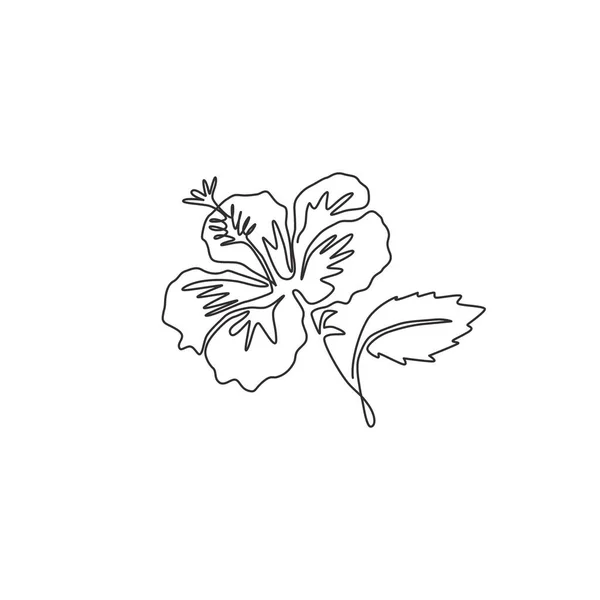 Una Sola Línea Dibujo Belleza Hibisco Fresco Para Logotipo Del — Vector de stock