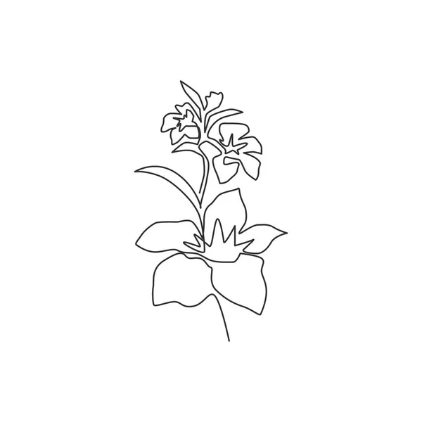 Single Continue Lijn Tekening Van Schoonheid Frisse Orchidee Voor Muur — Stockvector