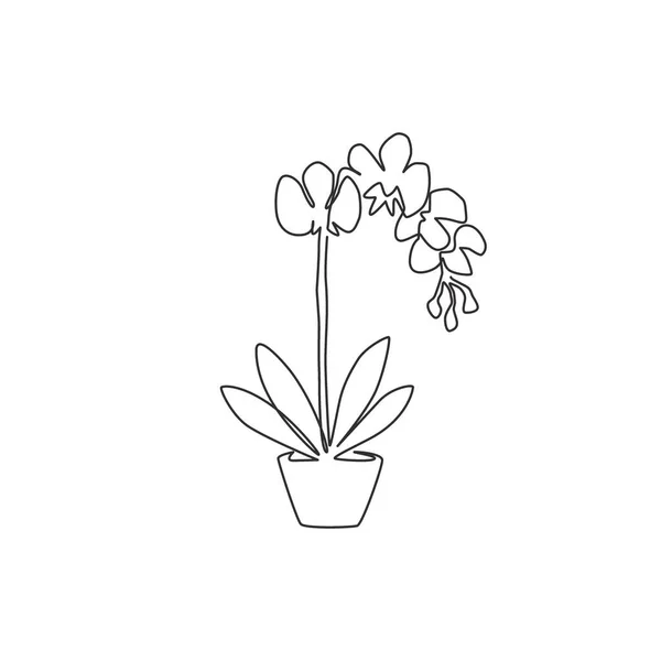 Dessin Unique Ligne Continue Gladiolus Frais Beauté Pour Affiche Décoration — Image vectorielle