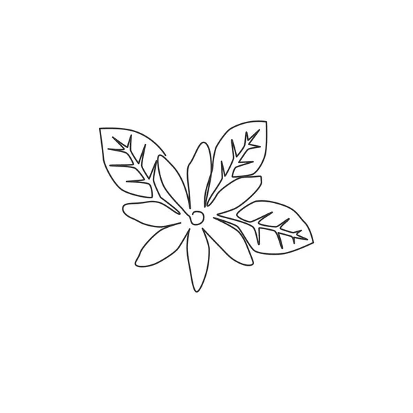 Одна Линия Рисунка Красоты Свежий Листопадный Цветок Жасмина Логотипа Чайного — стоковый вектор