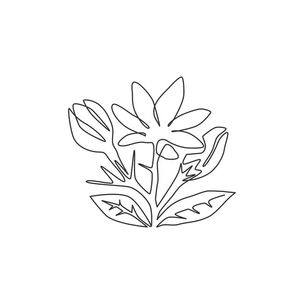 Una Sola Línea Dibujo Belleza Fresca Flor Jazmín Siempreverde Para — Vector de stock