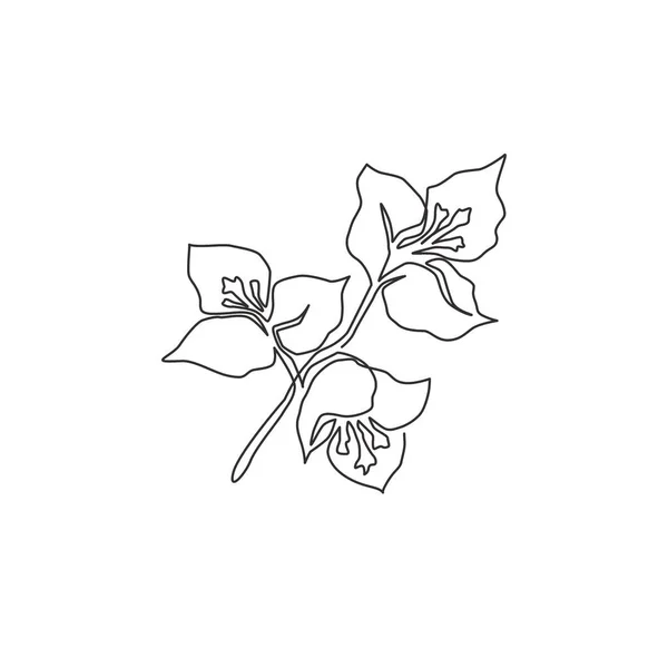 一张线条画的美丽新鲜的花束为墙家装饰招贴画 用于贺卡装饰的可印刷装饰花卉概念 现代连续线条绘图设计矢量插图 — 图库矢量图片