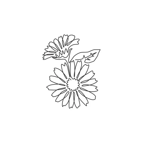 Μια Ενιαία Γραμμή Σχέδιο Της Ομορφιάς Φρέσκο Marigold Για Διακόσμηση — Διανυσματικό Αρχείο