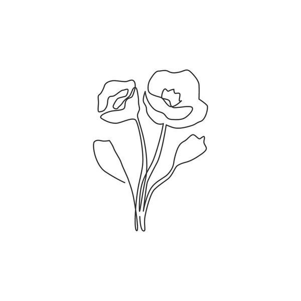 Eine Durchgehende Linie Zeichnung Schönheit Frische Krautige Pflanze Für Wohnkultur — Stockvektor