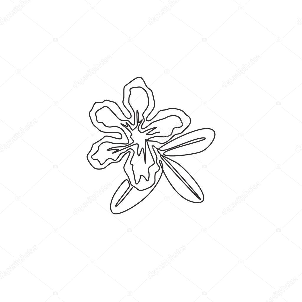 One single line drawing of fresh beauty adenium for garden logo. Printable poster decorative desert rose flowers concept home wall decor. Modern continuous line draw design vector graphic illustration