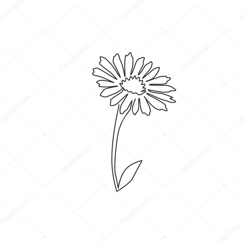 Single continuous line drawing of beauty fresh bellis perennis for home wall decor poster art. Printable decorative common daisy flower concept. Modern one line draw graphic design vector illustration
