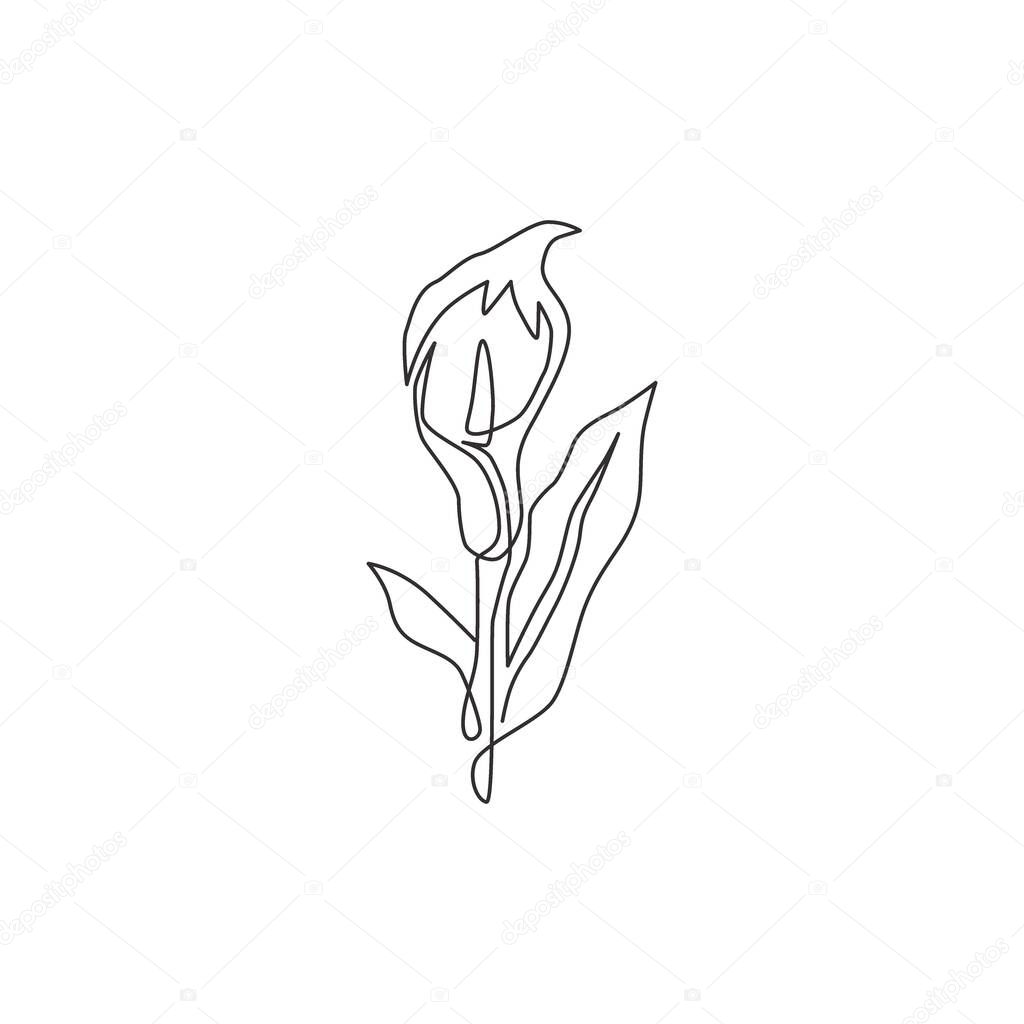 Single one line drawing of beauty fresh arum lily for wall home decor poster art. Printable decorative zantedeschia flower for green park icon. Modern continuous line draw design vector illustration