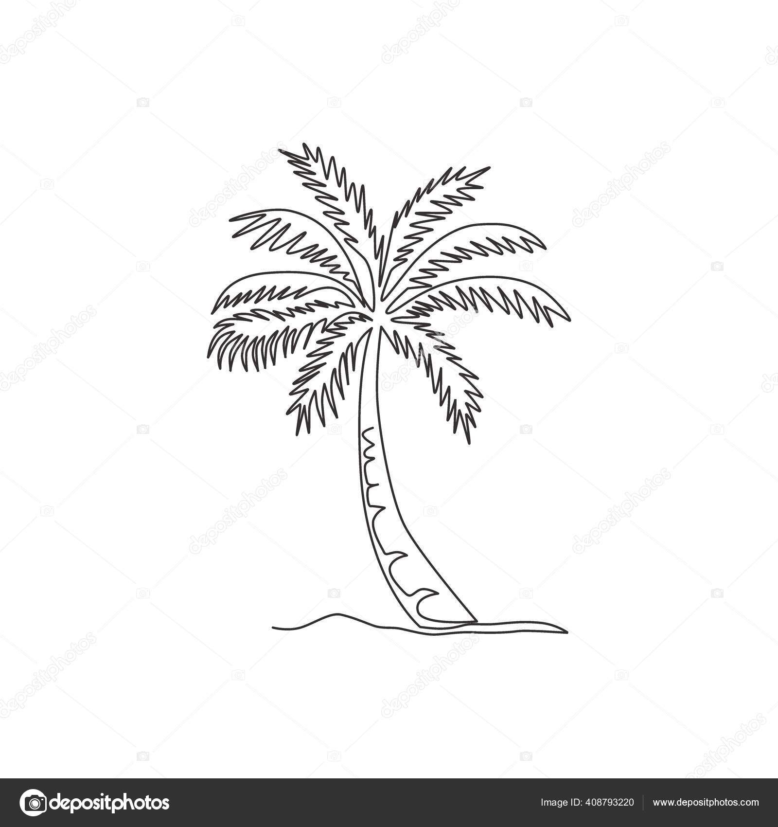 Single Continuous Line Drawing Coco Nucifera Decorative Coconut Palm Tree Stock Vector Image By C Simpleline Single Continuous Line Drawing Coco Nucifera Decorative Coconut Palm Tree Stock Vector Image By C Simpleline