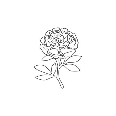 Single continuous line drawing of beauty fresh herbaceous plant for garden logo. Printable decorative peony flower concept for wedding invitation card. Trendy one line draw design vector illustration clipart