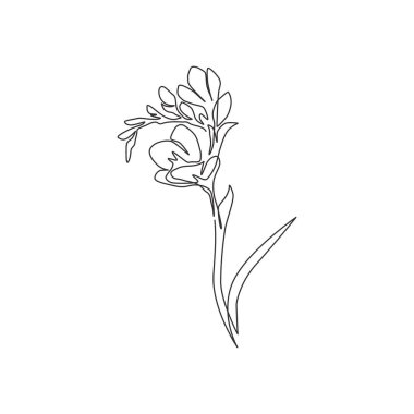 Tek sıra güzellik, bahçe logosu için taze frezya. Ev dekorasyonu poster resimleri için otçul çiçek konsepti dekorasyonu. Modern sürekli çizgi çizimi tasarım vektörü illüstrasyonu