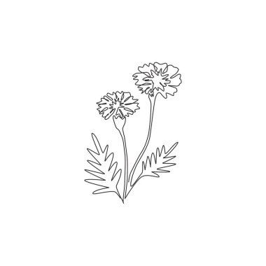 Tek sıra güzellik çizimi. Taze etiketler. Bahçe logosu için ereksiyon. Ev dekorasyonu için dekoratif kadife çiçeği konsepti duvar resmi poster baskısı. Modern sürekli çizgi çizimi tasarım vektörü illüstrasyonu