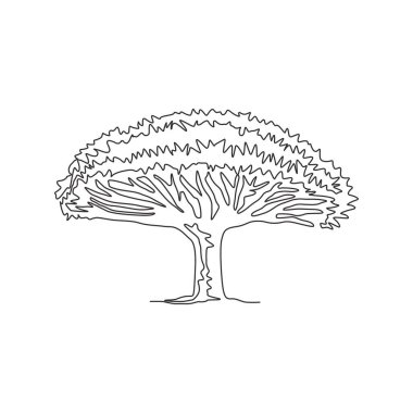 Duvar dekorasyonu için sürekli olarak ejderha kanı ağacı çizen bir çizgi. Ulusal park logosu için dekoratif socotra ejderha ağacı. Moda tek çizgi çizimi tasarım vektörü illüstrasyonu