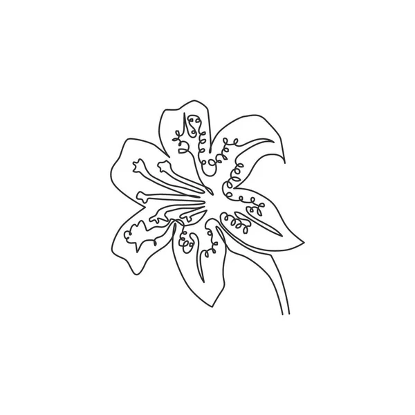 Singola Linea Continua Disegno Bellezza Lilium Lancifolium Home Decor Parete — Vettoriale Stock