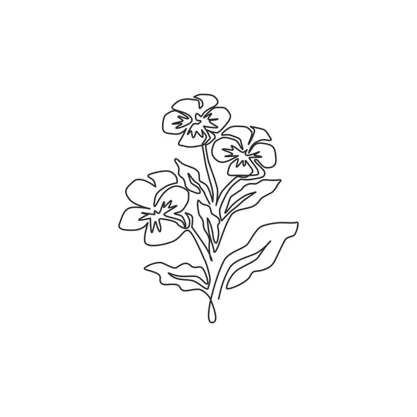 Enda Kontinuerlig Linje Teckning Skönhet Fräsch Ranunculus För Heminredning Väggmålning — Stock vektor
