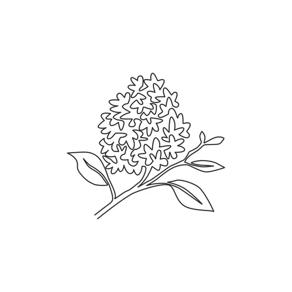 One Continuous Line Drawing Beauty Fresh Syringa Vulgaris Home Decor — Διανυσματικό Αρχείο